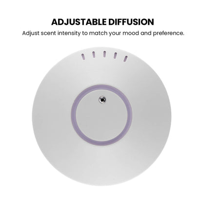 Car Diffuser